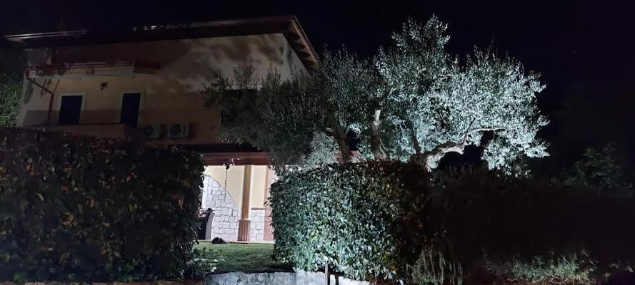 B&B Stazione La Reggia Caserta Ngoại thất bức ảnh